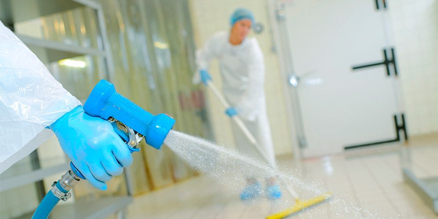 Manual surface cleaning in a food facility